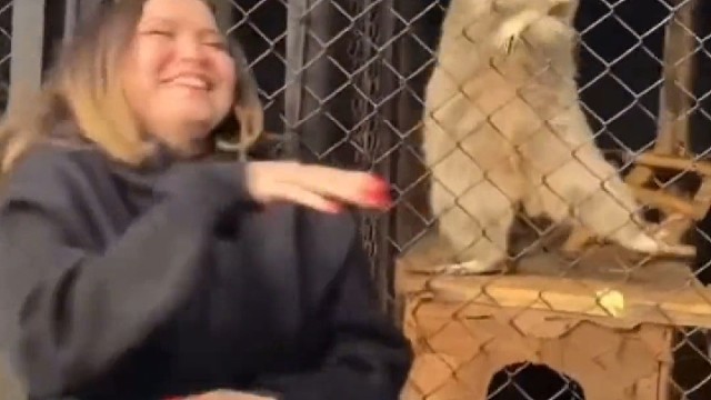 跟着我左手右手一个慢动作~～