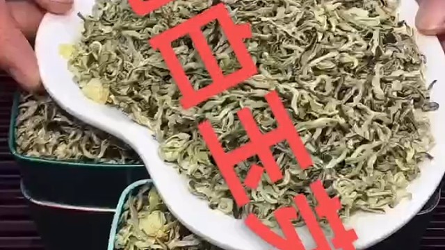 茉莉白玉芽王，头春采摘大芽头，花香馥郁悠长口感鲜爽甘醇，持久耐泡，好看又好喝！