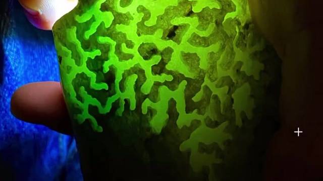 我发布了一个新视频，快来围观吧！