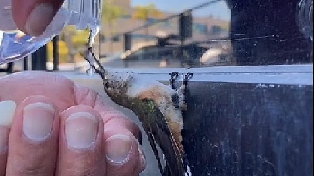 身体和灵魂总有一个在路上