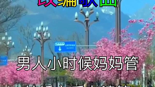 改编歌曲送给大家