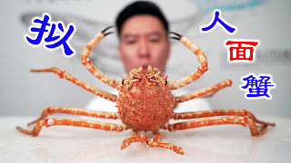 試吃長相奇特的螃蟹，日本擬人面蟹，你們猜會翻車嗎？