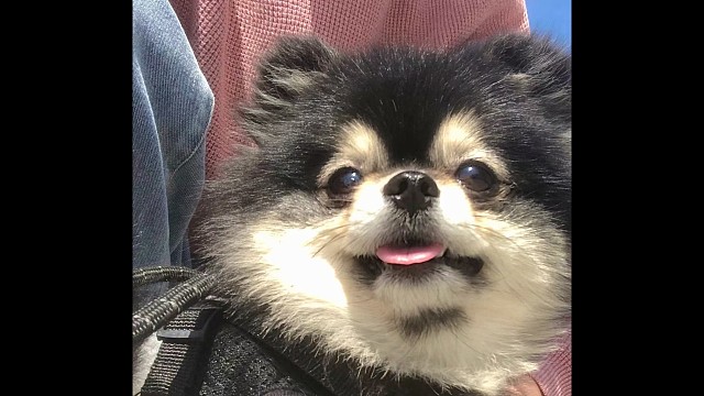 我发布了一个新视频，快来围观吧！