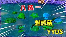 植物大战僵尸：最强植物八选一？魅惑菇：当然是选我了！