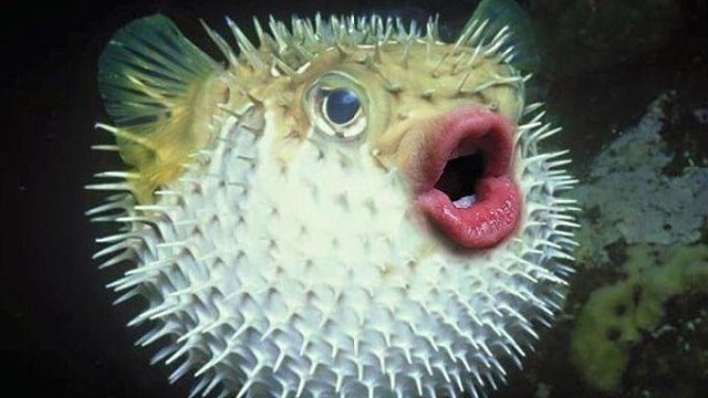 20220414 贼法牧复盘