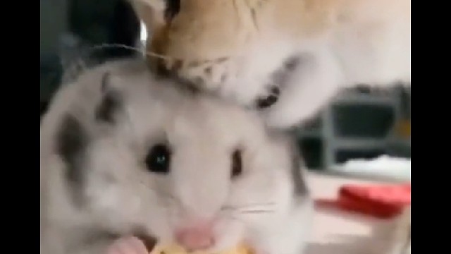 快点吃，一会该我了