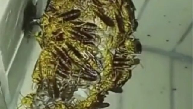 遇到这种情况应该怎么办？