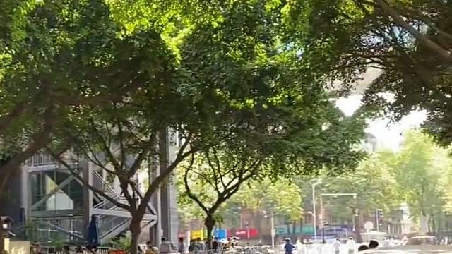 我真真没听懂啊