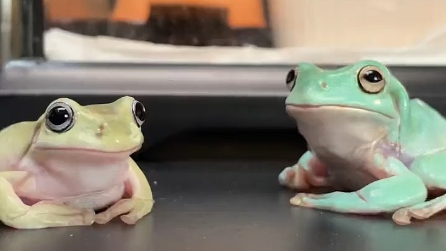 左边孩子那一下子属实给我整乐了