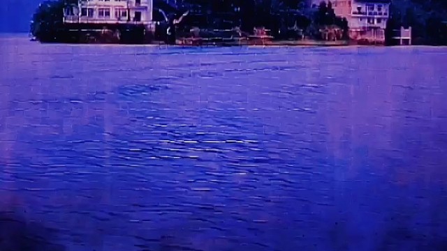 生活各自不易，个人所求不同，各自立场不一