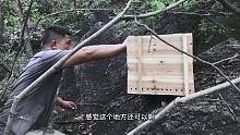 胖哥做了两个木诱蜂箱，放山上不管它，下半年直接去割蜂蜜