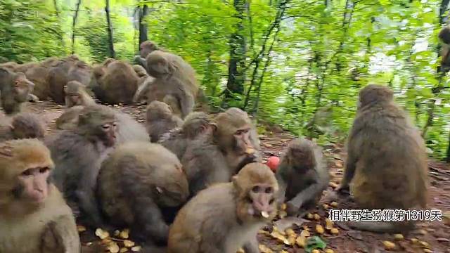 我们来了就塞塞塞