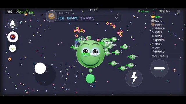 球球不倒，陪你到老！大哥们动动手指点个订阅谢谢！