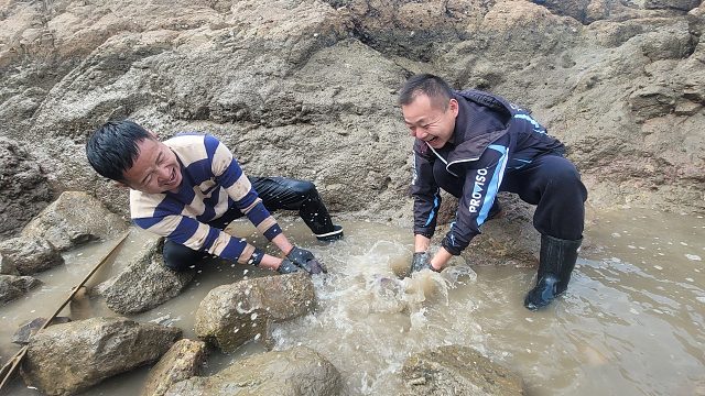 这样抓鱼太欢乐了，成群肥美又值钱的大鱼聚集水坑，抓得停不下来