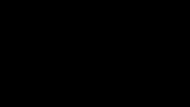 逃跑吧少年白狐VS宁辰