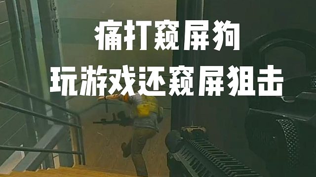 痛打窥屏狙击 真恶心 逃离塔科夫