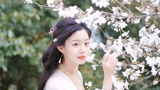 诉不尽的前尘往事，忘不掉的浮生三千。