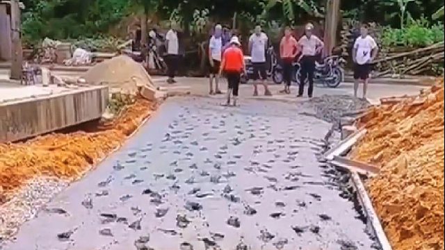 据说每条村都会有那么一个半个这种人