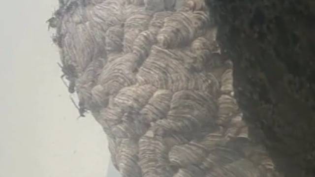 这里面的东西我怎么取出来