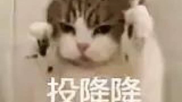 使命召唤：飞机战神