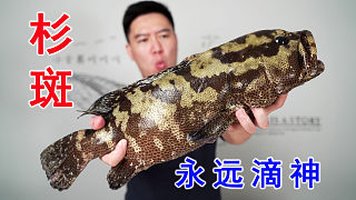清水石斑魚打邊爐，千萬別半夜看，我連湯都干光了