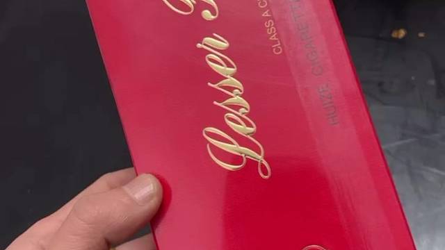 世纪风的小红猫见过么