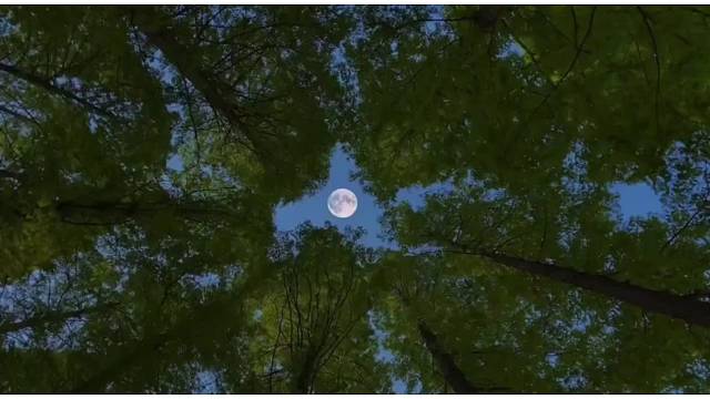 人一旦有了期待，心情就忽明忽暗。