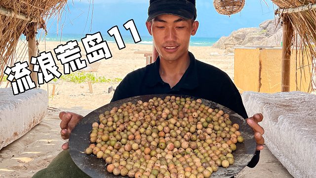 荒岛生存第十一集，收获众多星月菩提后，赶海收获美味海鲜