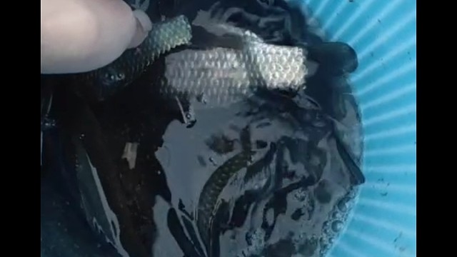 钓鱼的季节到了