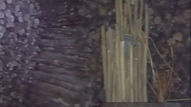 老人去世留下了一屋整齐柴火