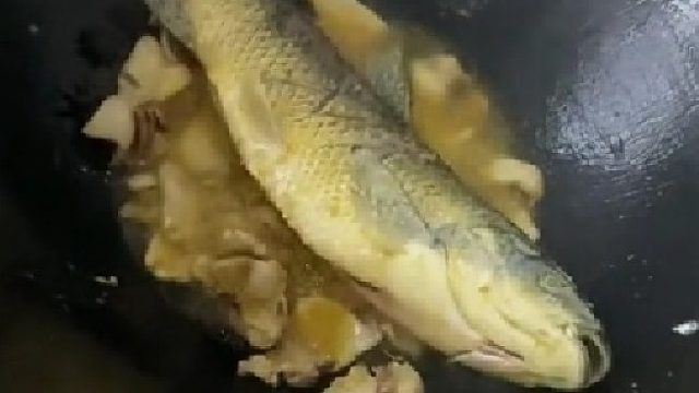 这鱼怎么这么猛