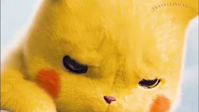 高冷八连VS撒娇八连