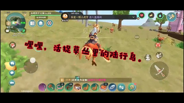 嘿嘿，活捉草丛里的陆行鸟。