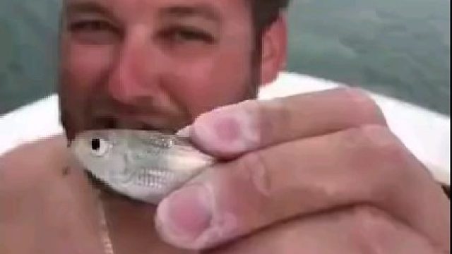 换个角度看，龙虾其实是种可怕的生物。。。