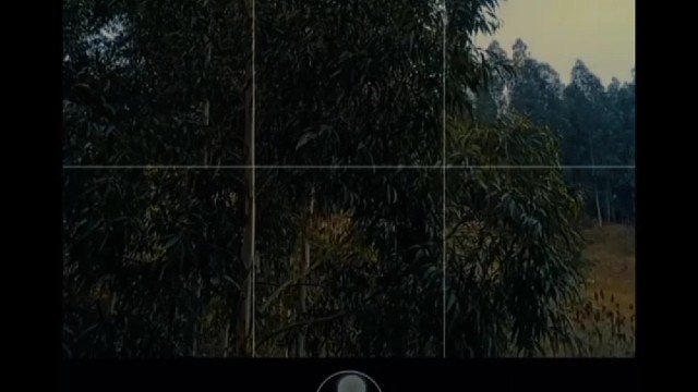 青春终将散场唯独记忆永垂不朽