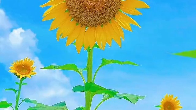 相相守守，永永无穷，宇宙山河浪漫，爱与未来，值得我们前进，滋润着心中的甜，放在心上就是地久天长，我的