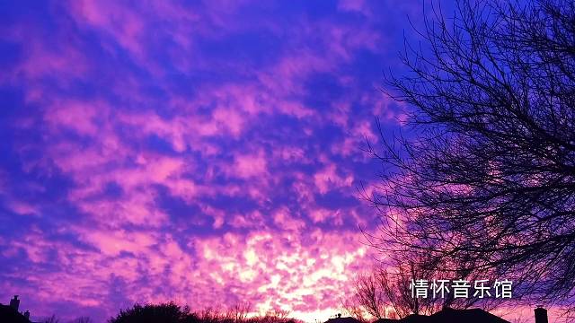 你是人间四月天