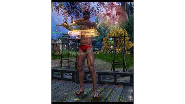 一个佛系拳师的玩家