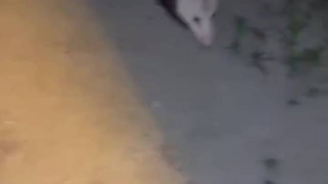 宝宝都蒙掉了，突然掉下了