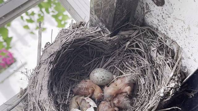 新的生命开始啦