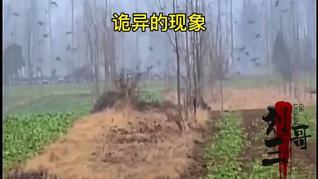 诡异的现象，预示着什么？评论区留言……