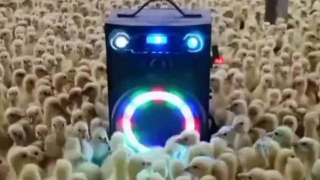 熬最深的夜……