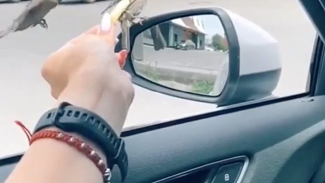 成功路上的垫脚石