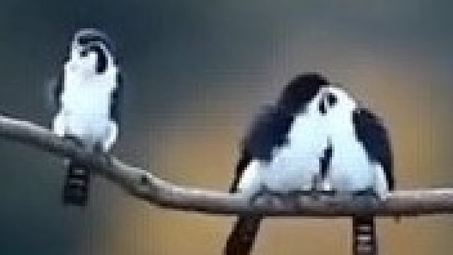 最后吐那一口太真实了