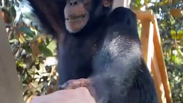 你是怎么让他配合你拍视频的？