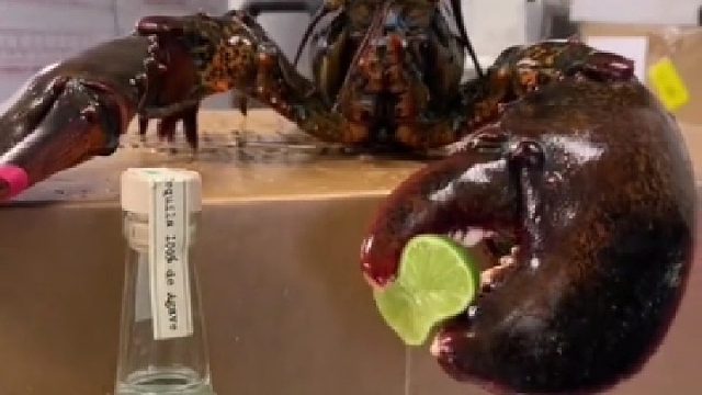 调酒我是专业的