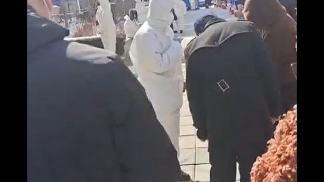 /{dhl/{dhl/{hj第11次核酸