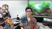 高級感穿搭，離不開這2個顏色！