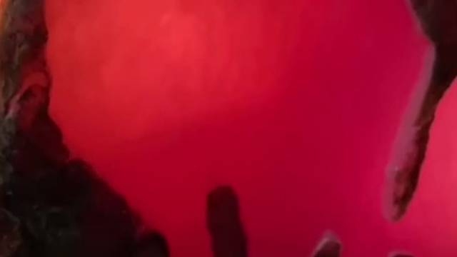 我发布了一个新视频，快来围观吧！