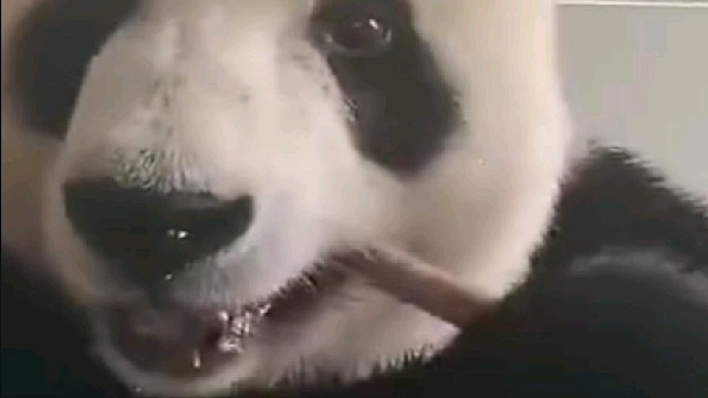 他为啥停顿一下